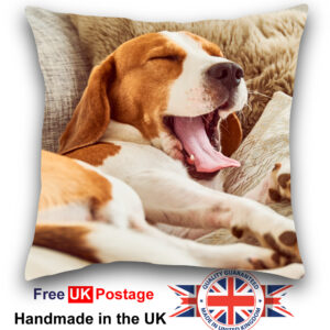 Personalised Pet Cushion