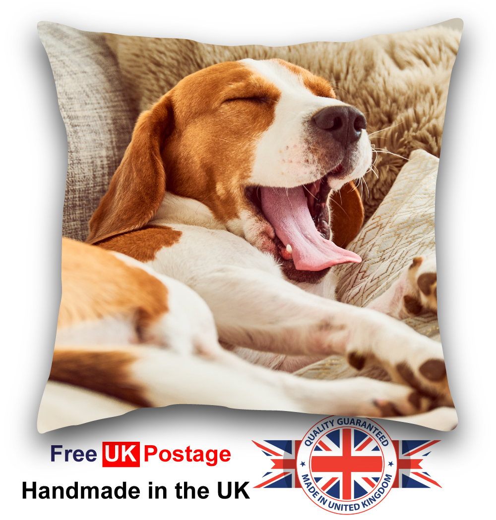 Personalised Pet Cushion