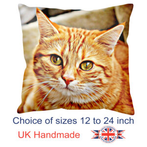 Cat Art Cushion Designs
