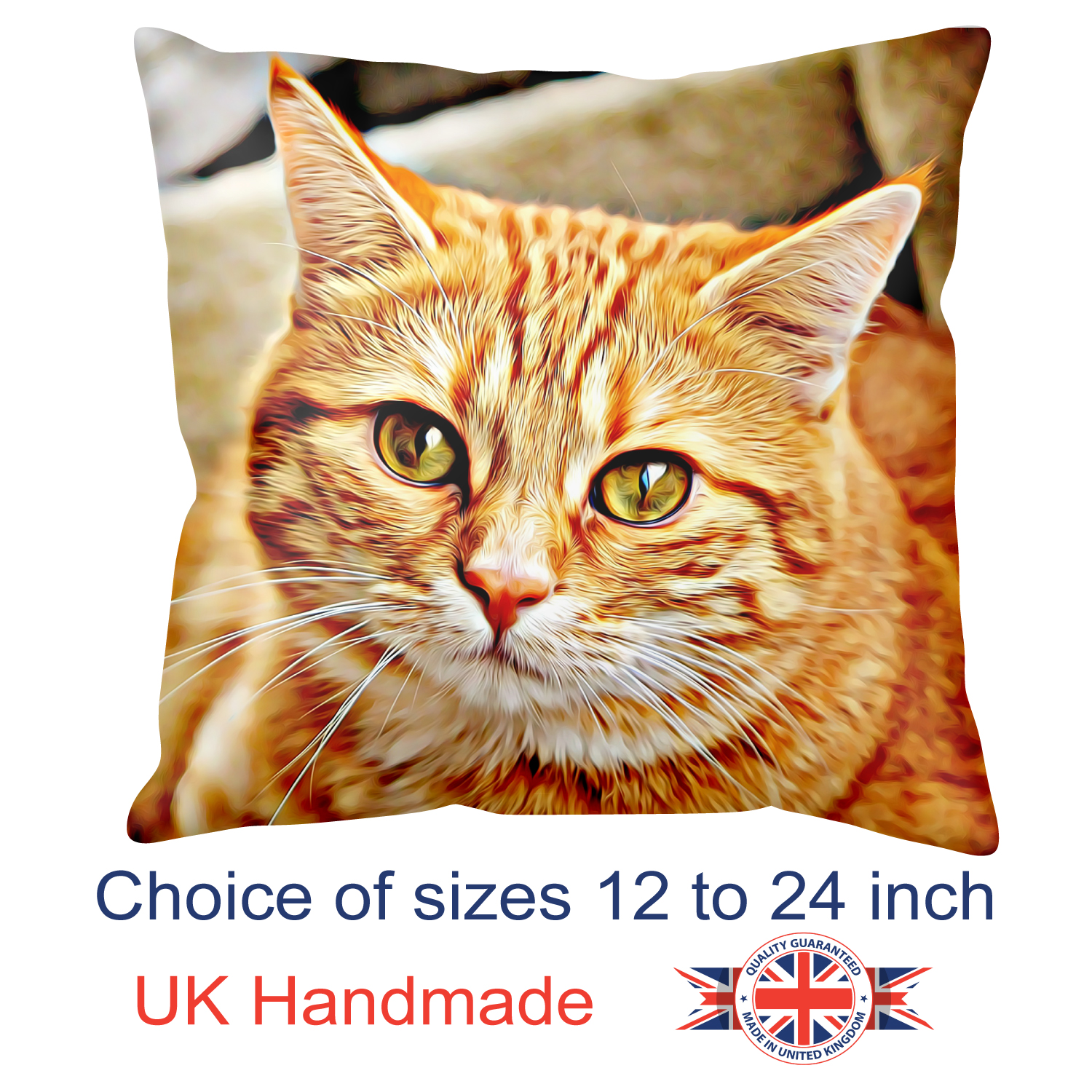 Ginger Cat Cushion
