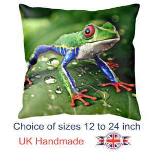 Frog Cushion